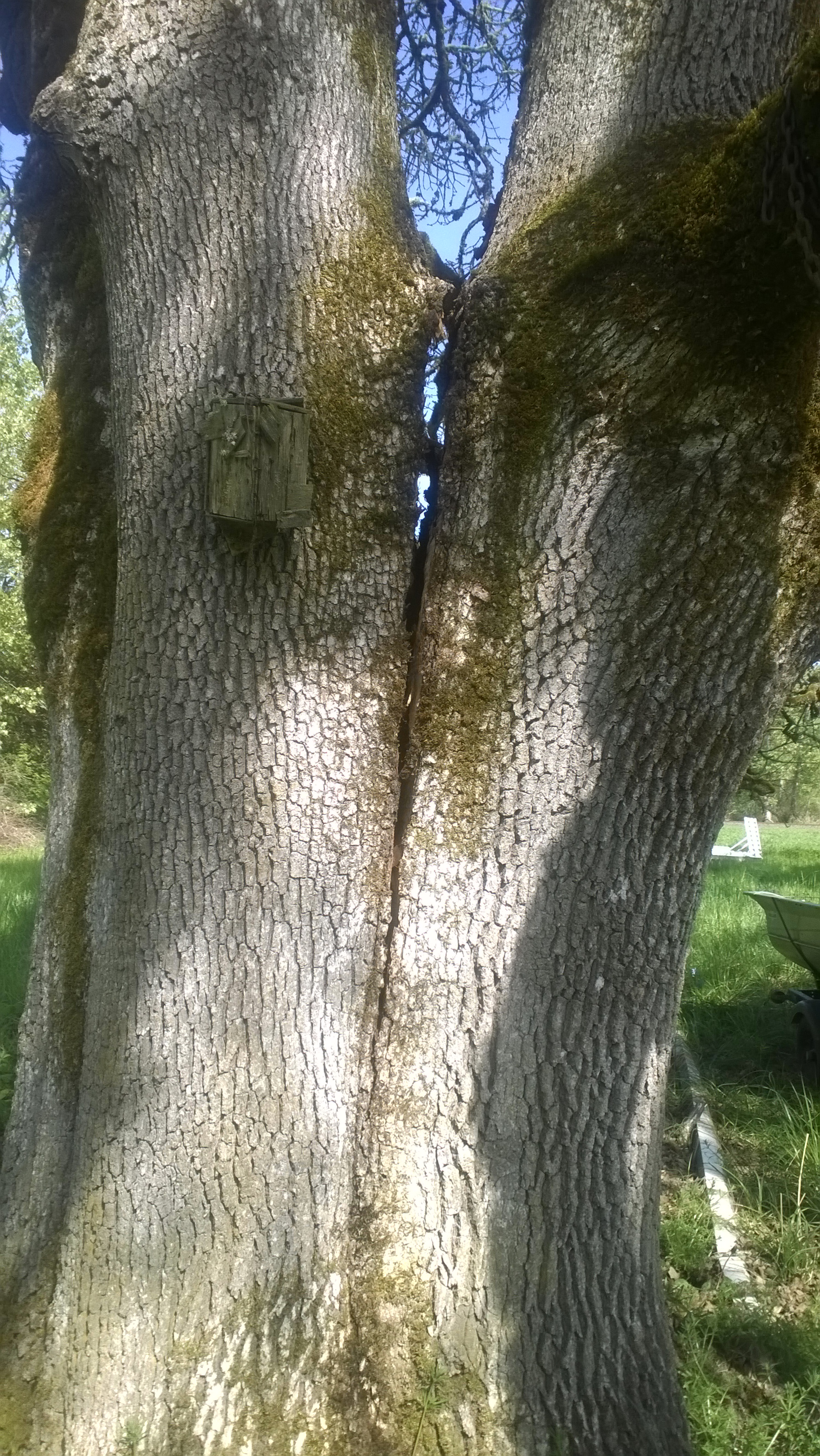 WP_20140428_002