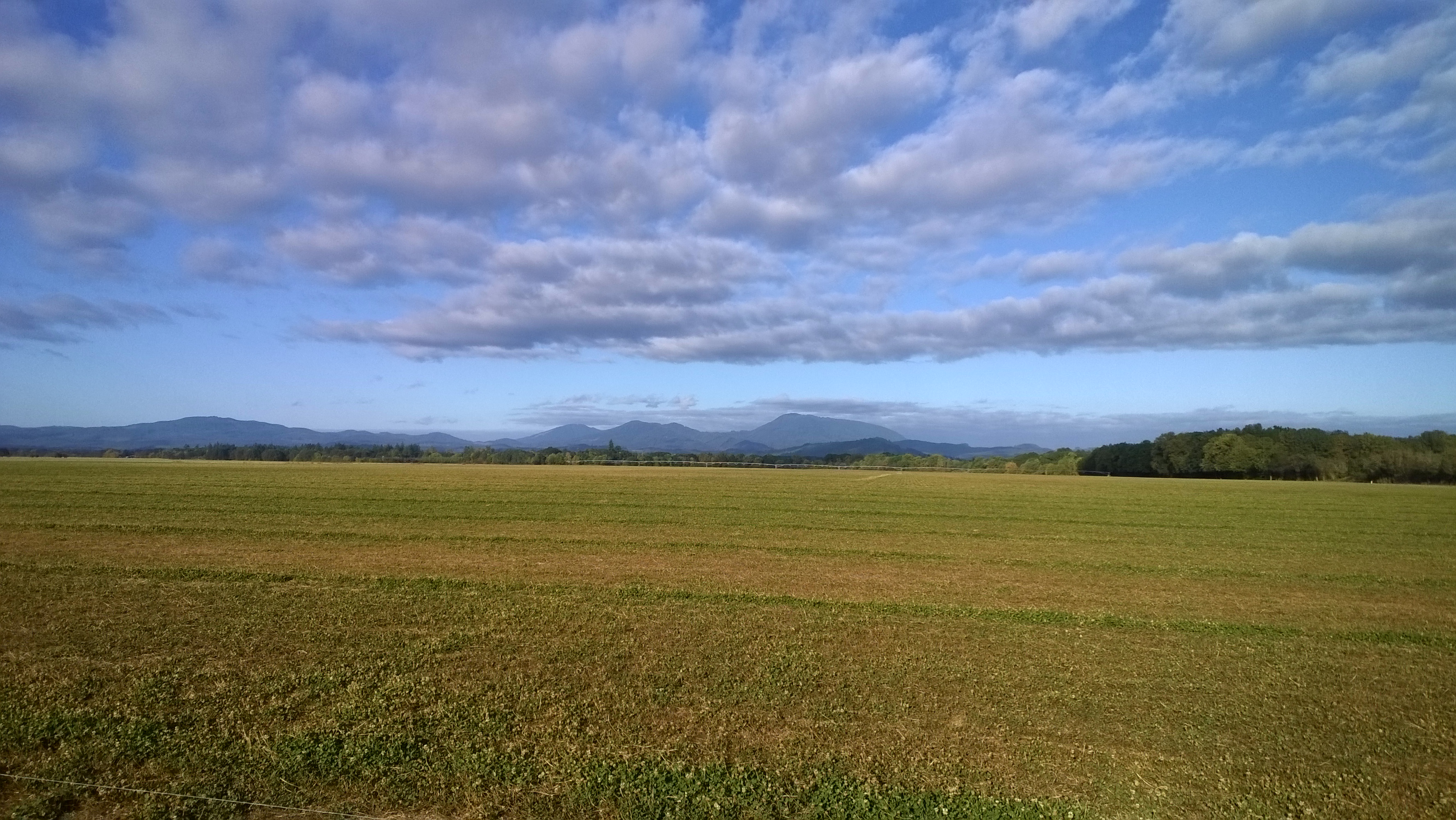 WP_20140909_001